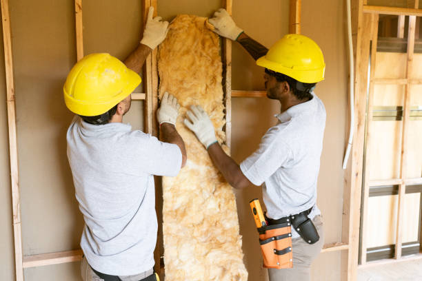 Best Insulation Removal  in Yermo, CA